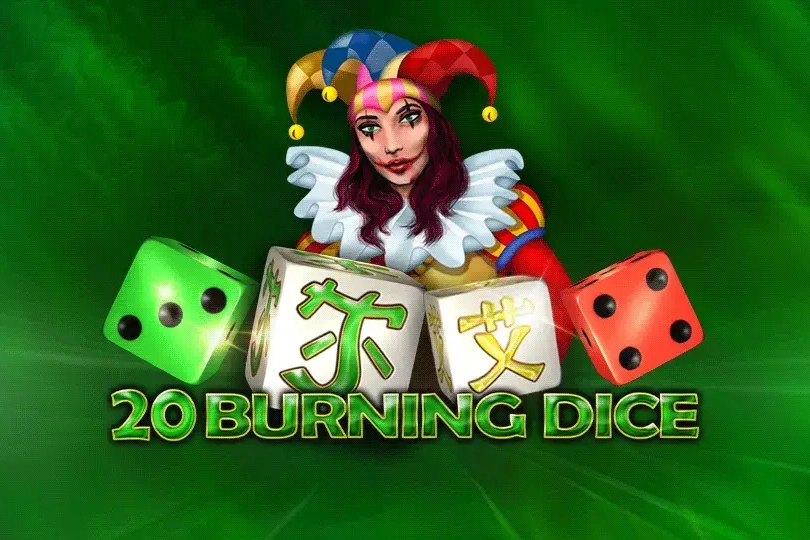 00496 20 burning dice